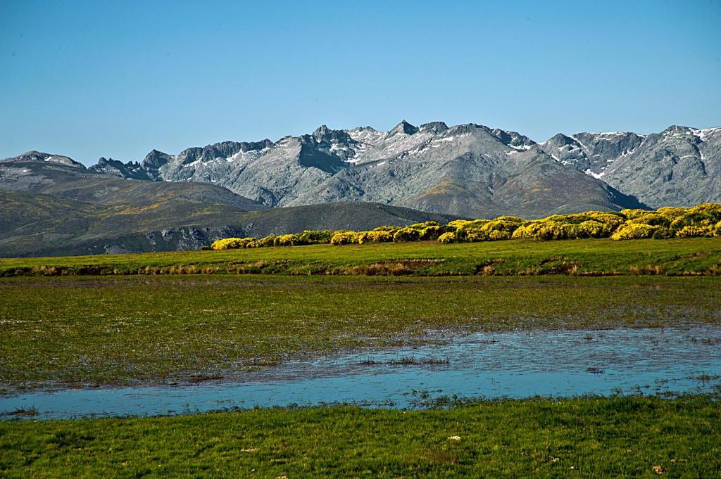 Hotel Rural La Dehesilla Barajas de Gredos Zewnętrze zdjęcie
